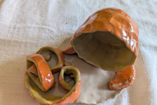 PXL_20250624_132745908 - Ana Charrua Cordeiro